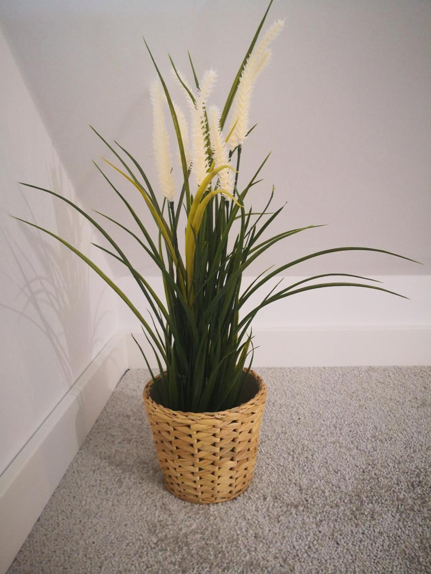 Milo Cie Widziec Appartement Łeba Kamer foto